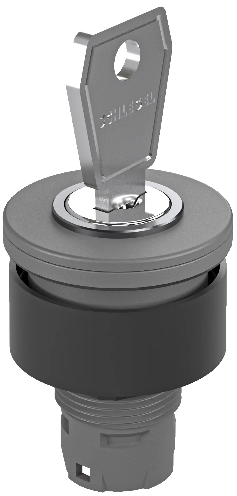 RXJSSA15E Grey Maintained Key Switch Head, IP65, 22.3mm