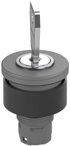 RXJSSA17E Maintained Key Switch Head for Industrial Use RXJSSA17E Product Image