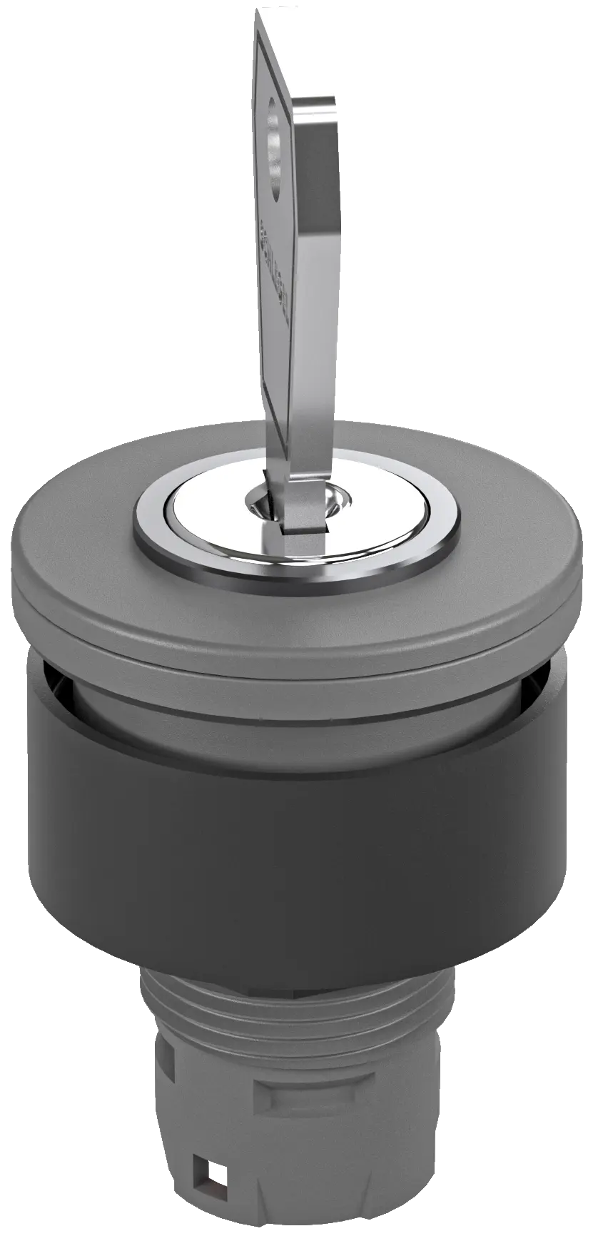 RXJSSA18E 22.3mm Grey Key Switch Head for Automation