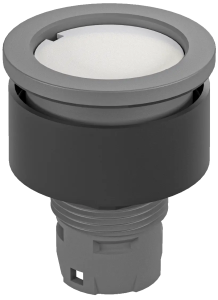 RXJT Illuminated Grey Pushbutton Head, IP65, UL Certified RXJT Product Image