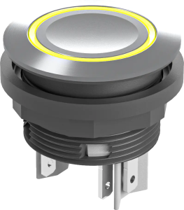 Stainless Steel Illuminated Pushbutton 22.3mm 24V DC IP67 LED 2NO SVATLRYII Product Image